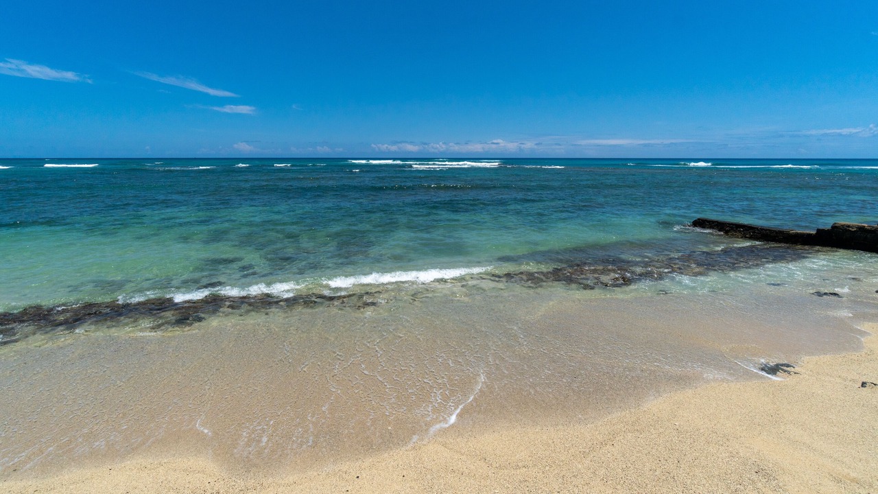 Photo of Others in Diamond Head - Kapahulu - St. Louis