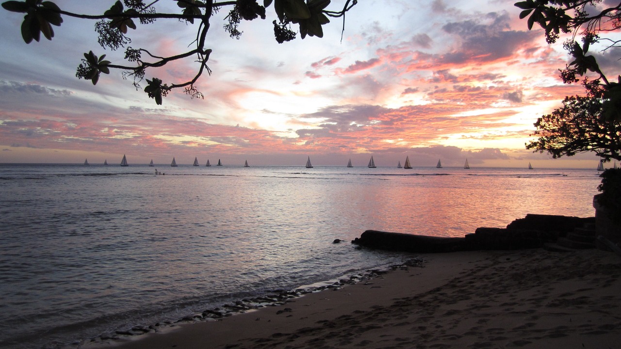 Photo of Others in Diamond Head - Kapahulu - St. Louis