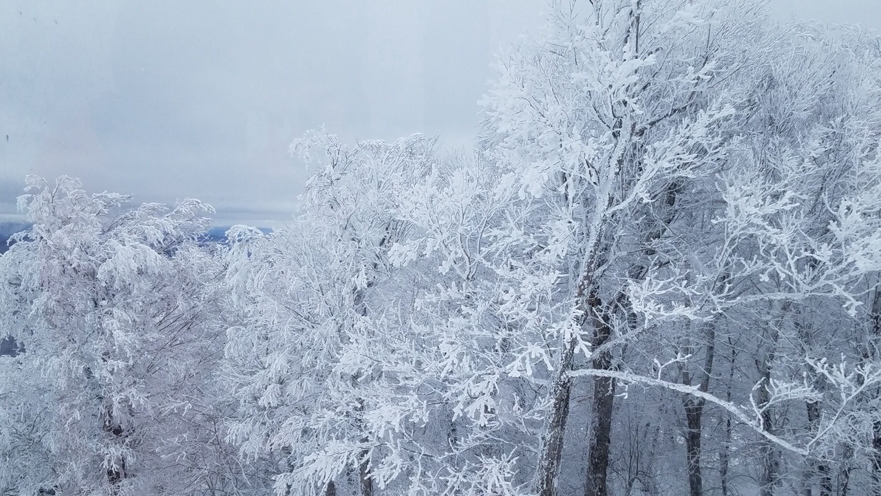Photo of Others in Prattsville