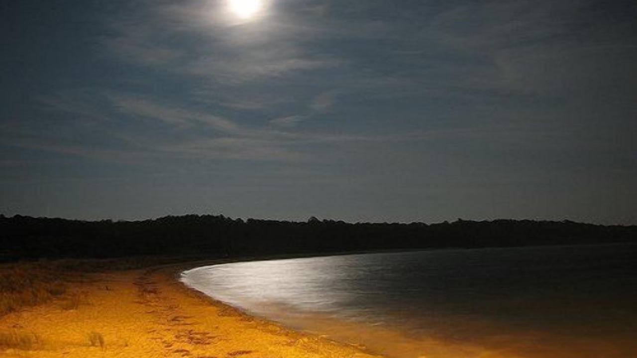 Photo of Others in Cape Charles