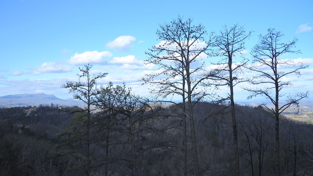 Photo of Others in Sevierville