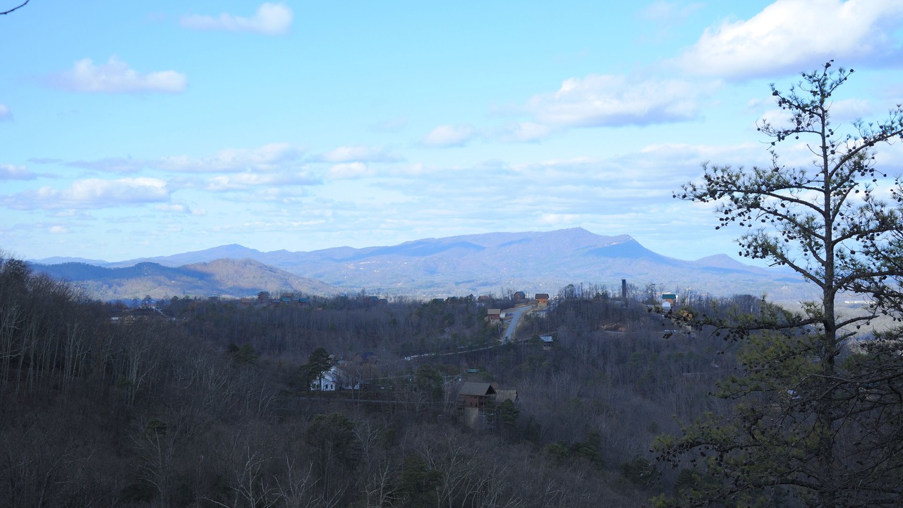 Photo of Others in Sevierville