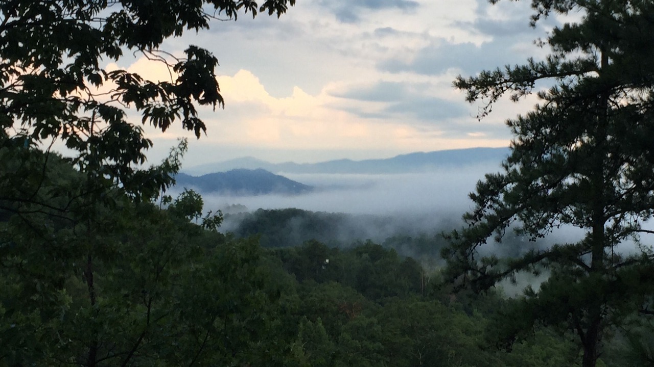 Photo of Others in Sevierville