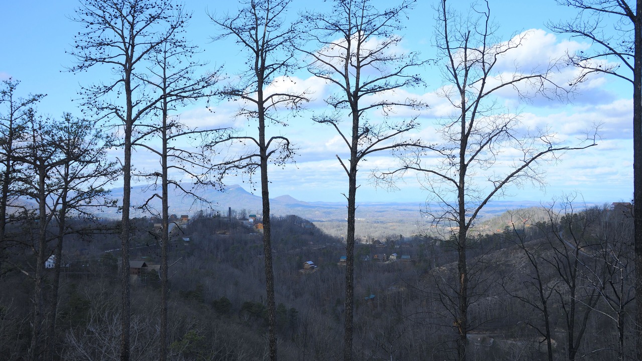 Photo of Others in Sevierville