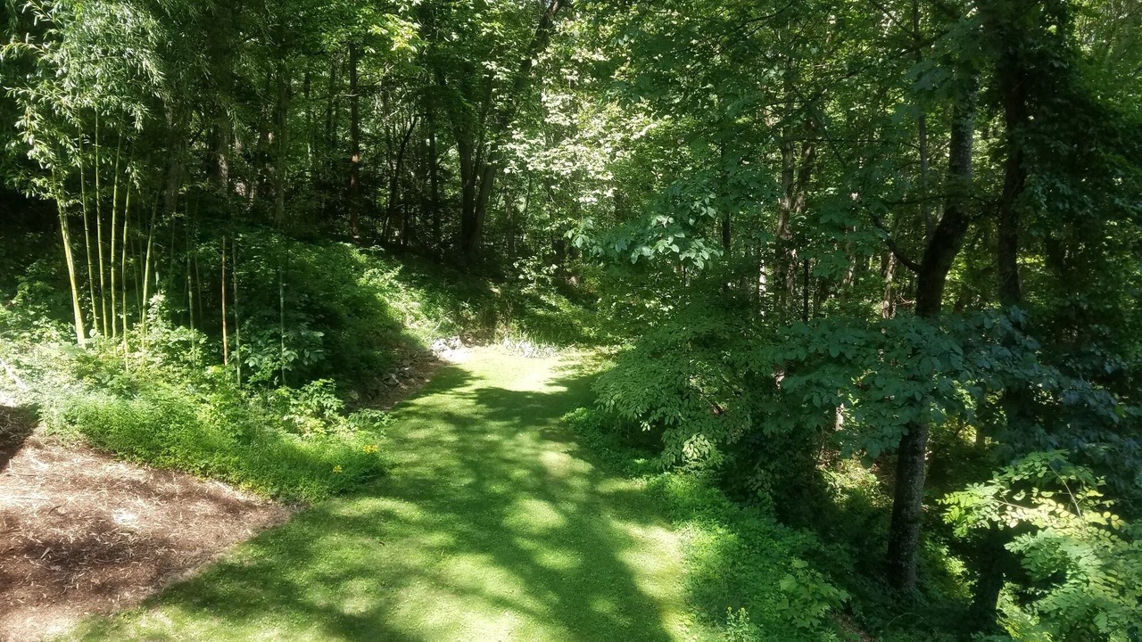 Photo of Outdoor in Fairview