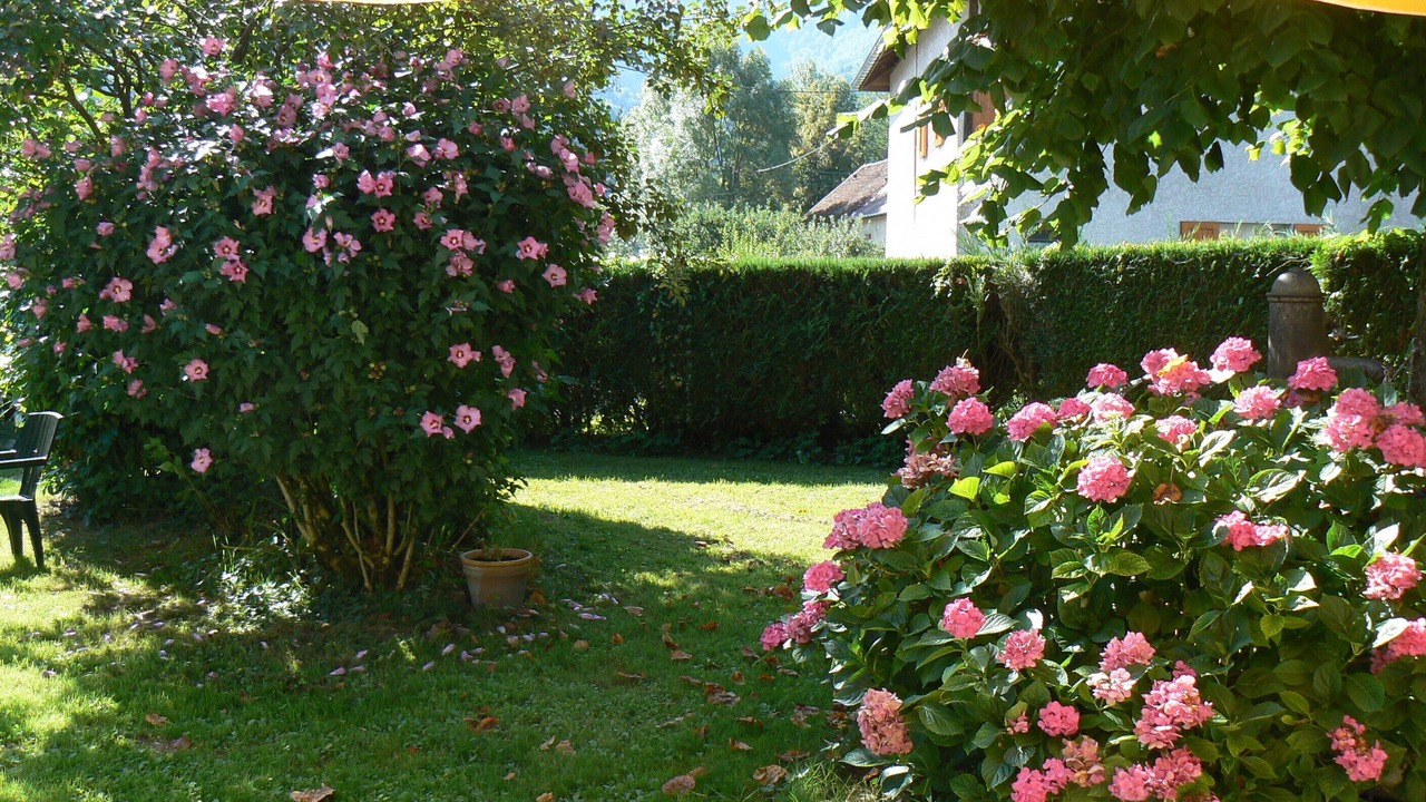 Photo of Outdoor in Saint-Joseph-de-Riviere