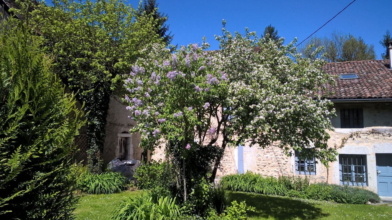 Photo of Outdoor in Saint-Joseph-de-Riviere