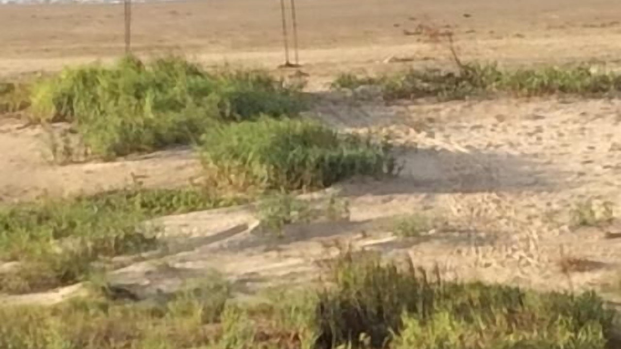 Photo of Others in Galveston