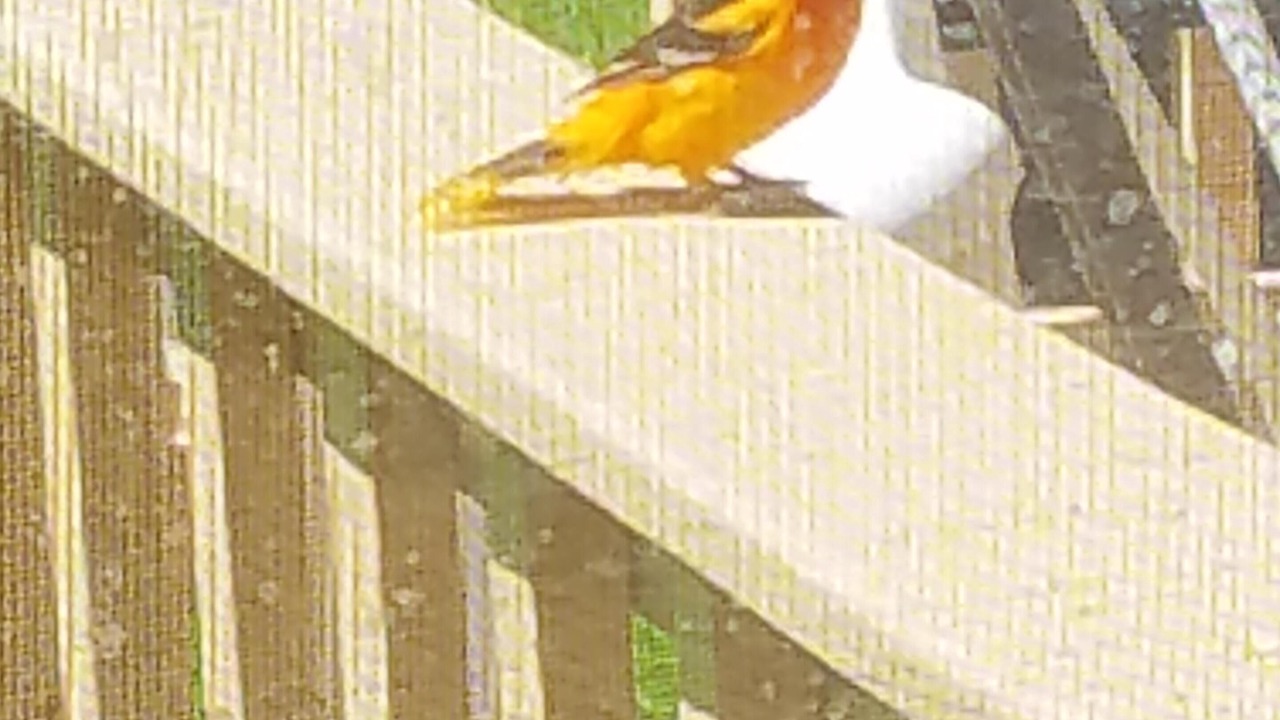 Photo of Others in Riverside