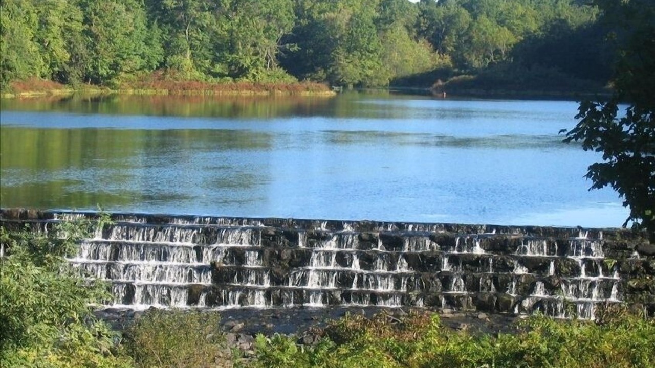 Photo of Others in Westport