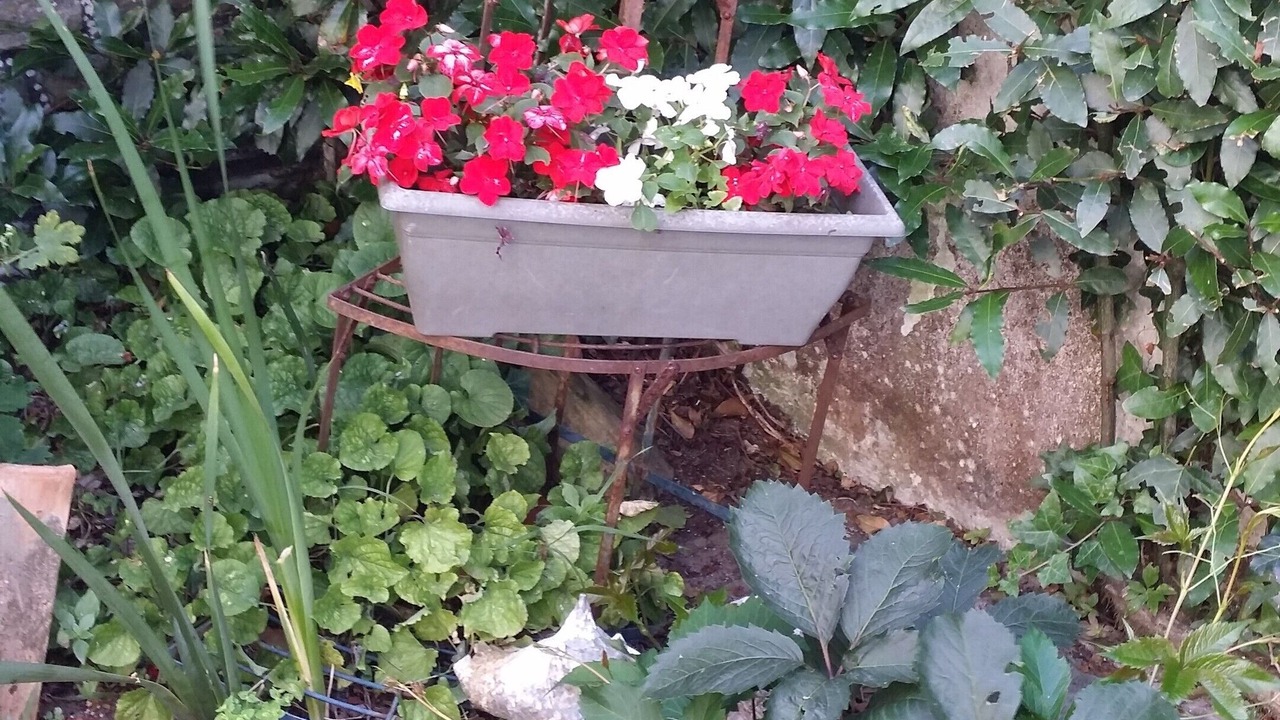 Photo of Outdoor in Saint-Gilles-Croix-de-Vie