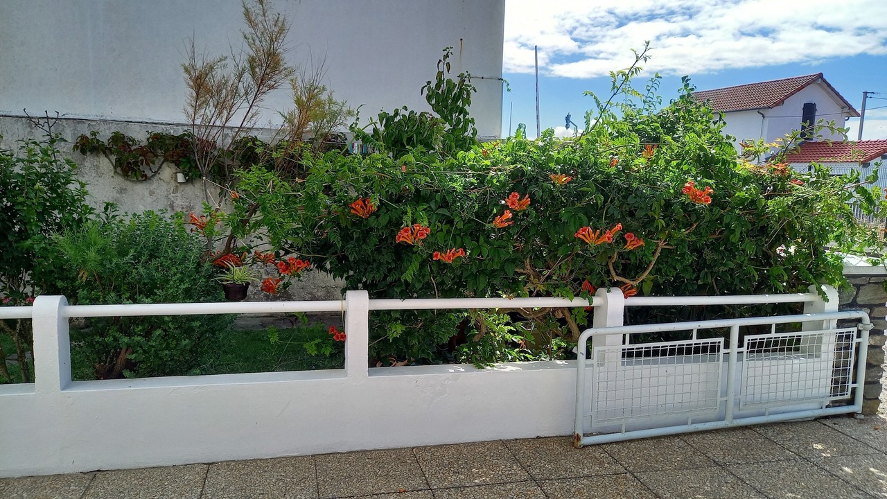 Photo of Others in Saint-Gilles-Croix-de-Vie