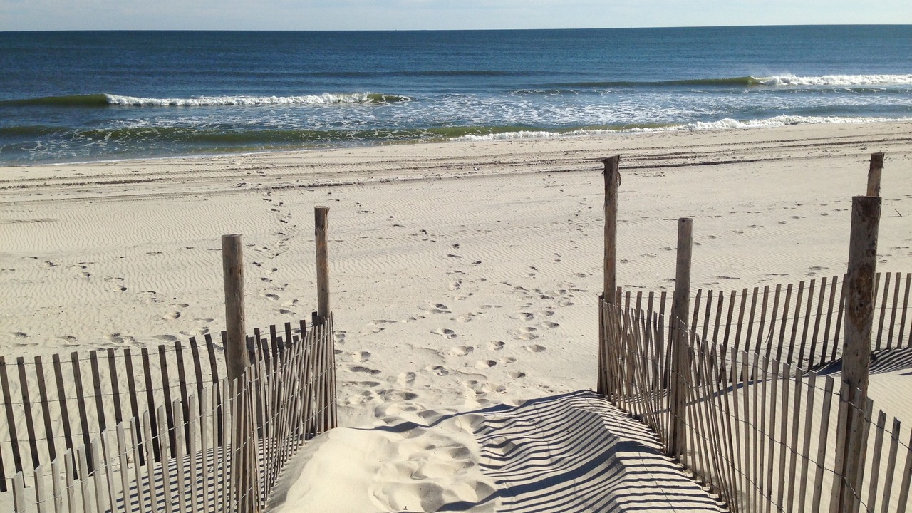 Photo of Others in Beach Haven