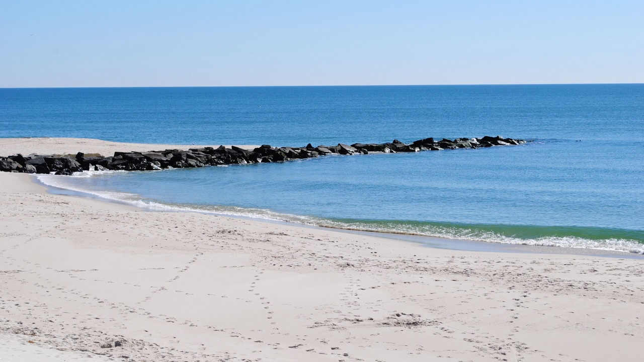 Photo of Others in Beach Haven