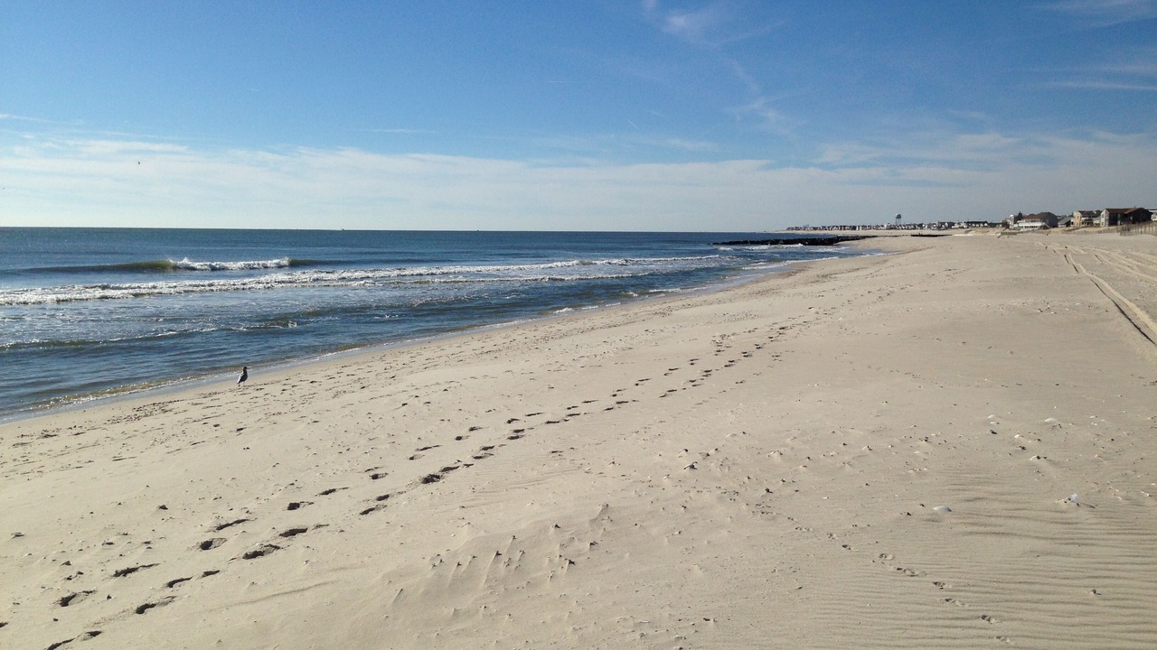 Photo of Others in Beach Haven