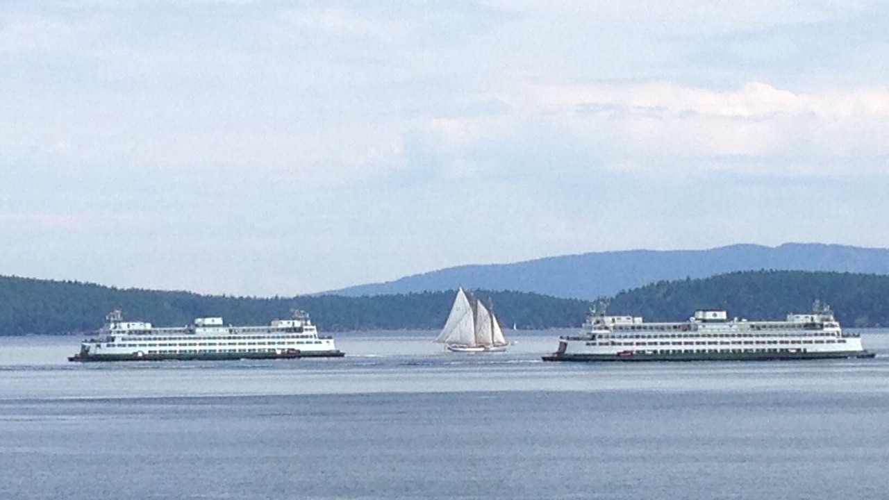 Photo of Others in Lopez Island
