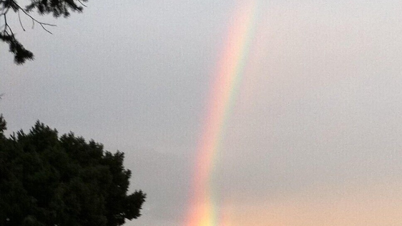 Photo of Others in Lopez Island