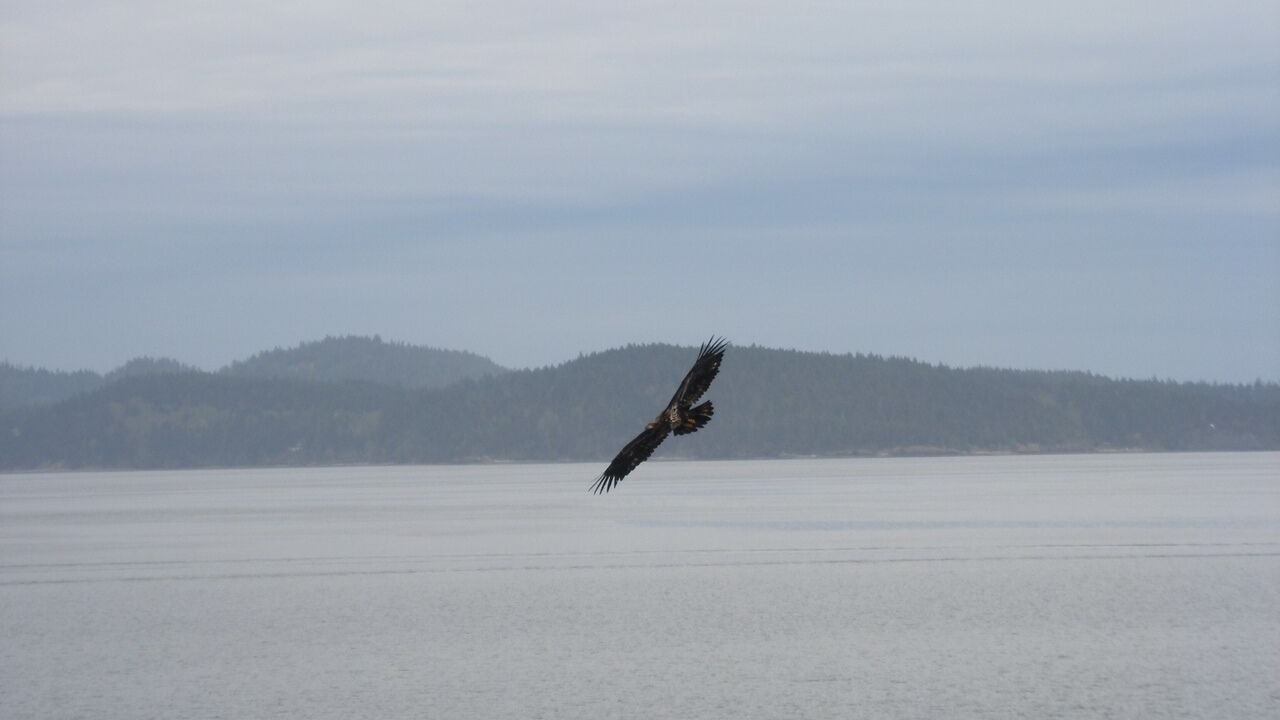 Photo of Others in Lopez Island