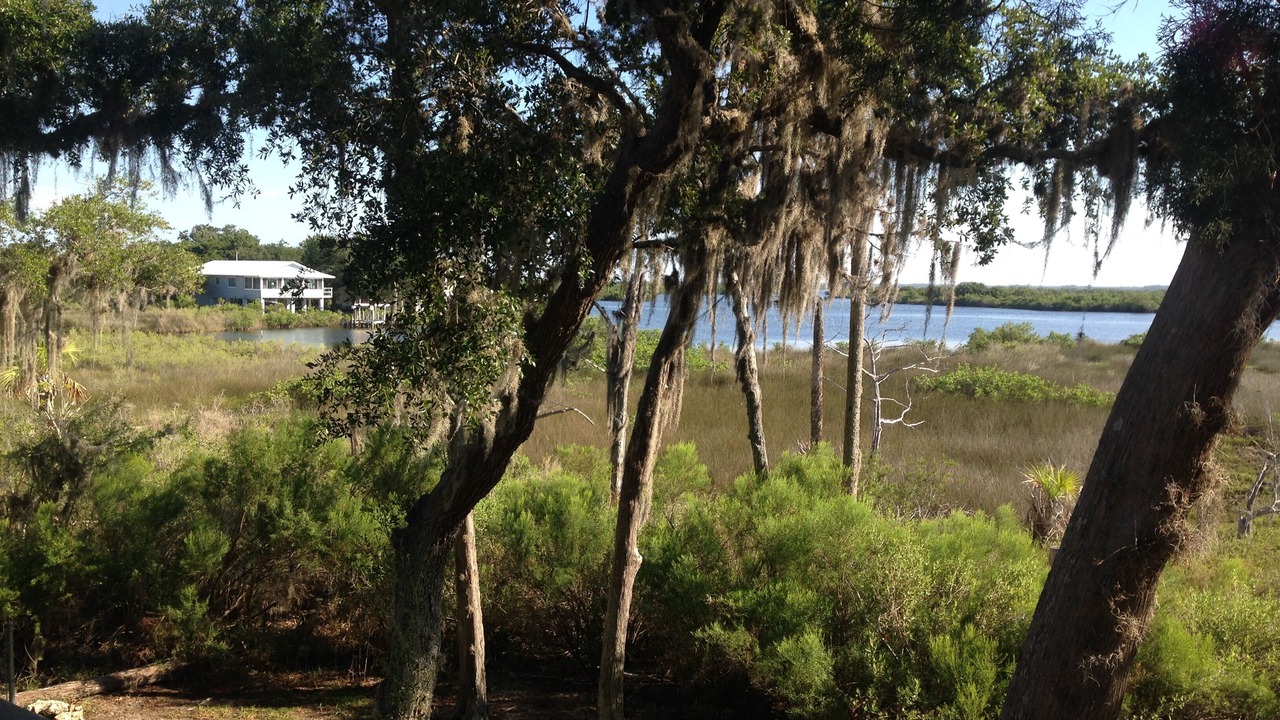 Photo of Outdoor in Crystal River