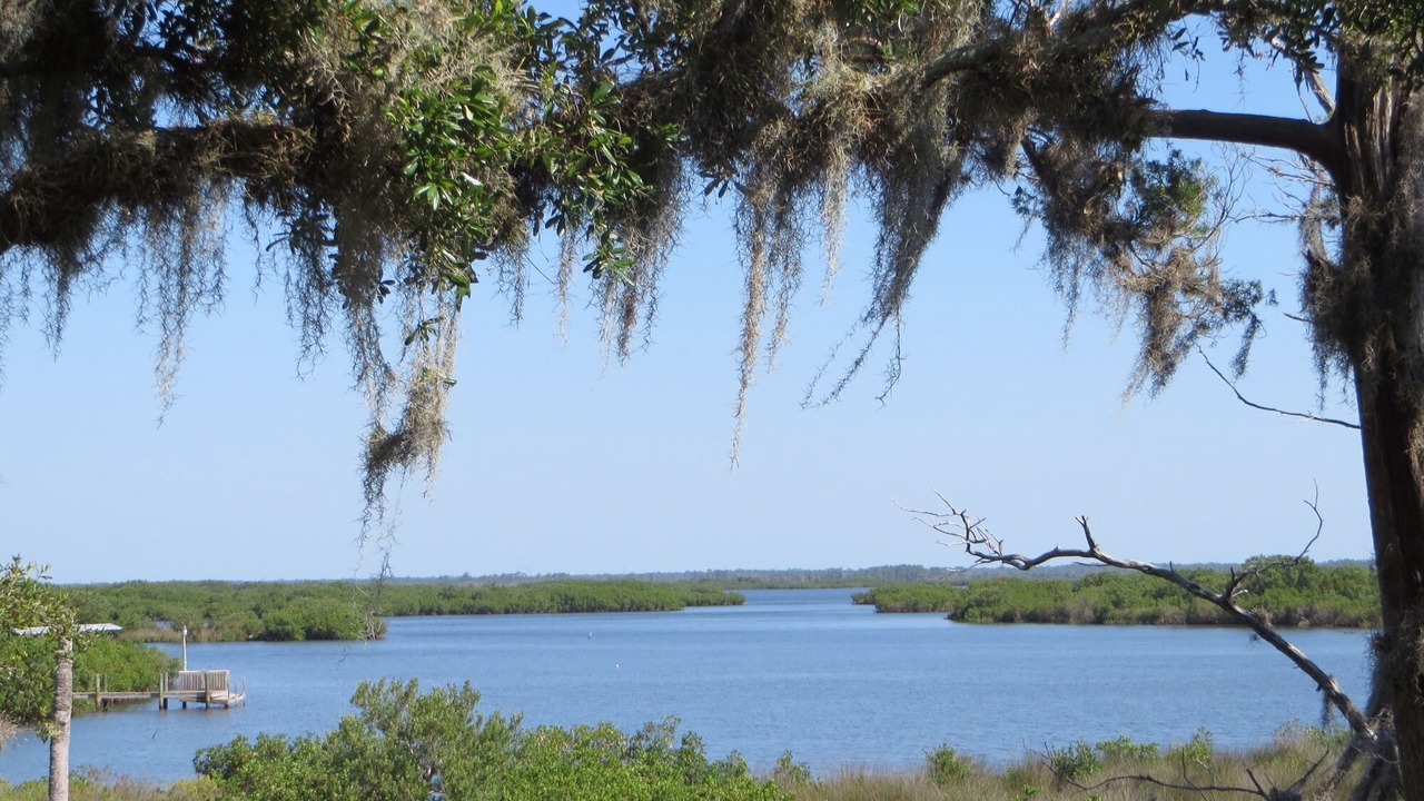 Photo of Others in Crystal River