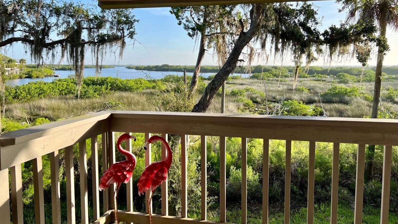 Photo of Outdoor in Crystal River