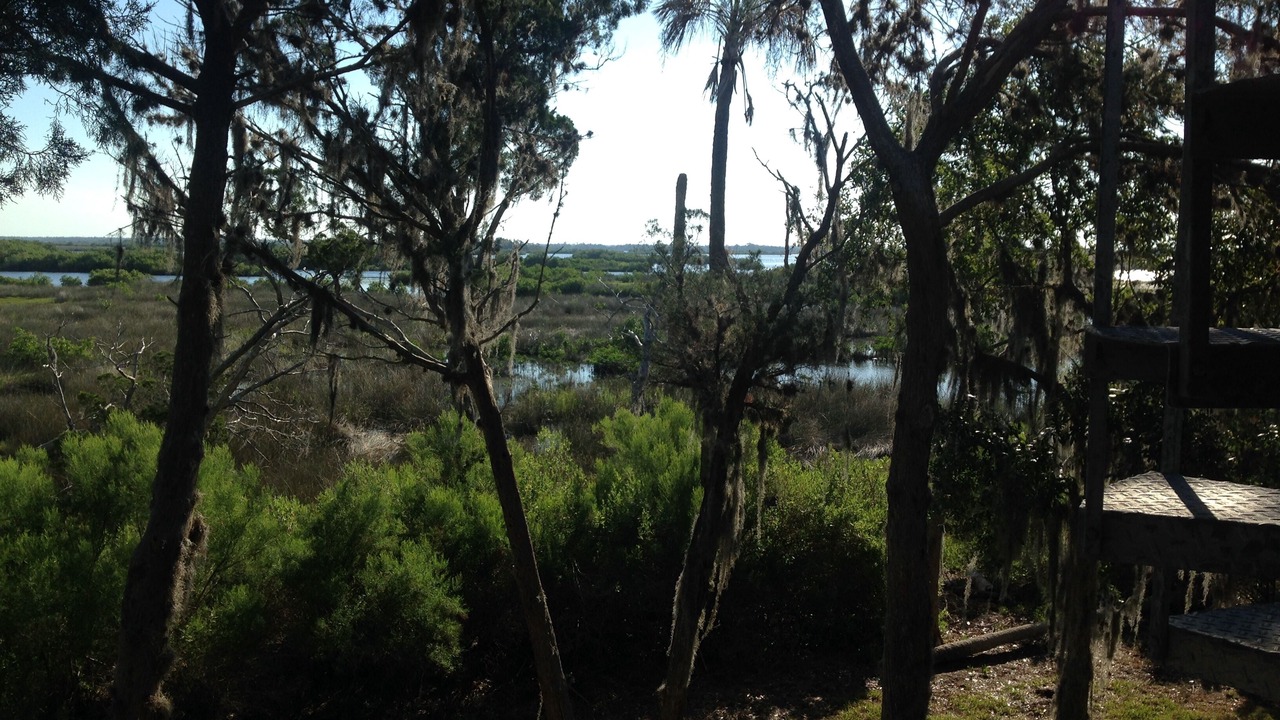 Photo of Outdoor in Crystal River