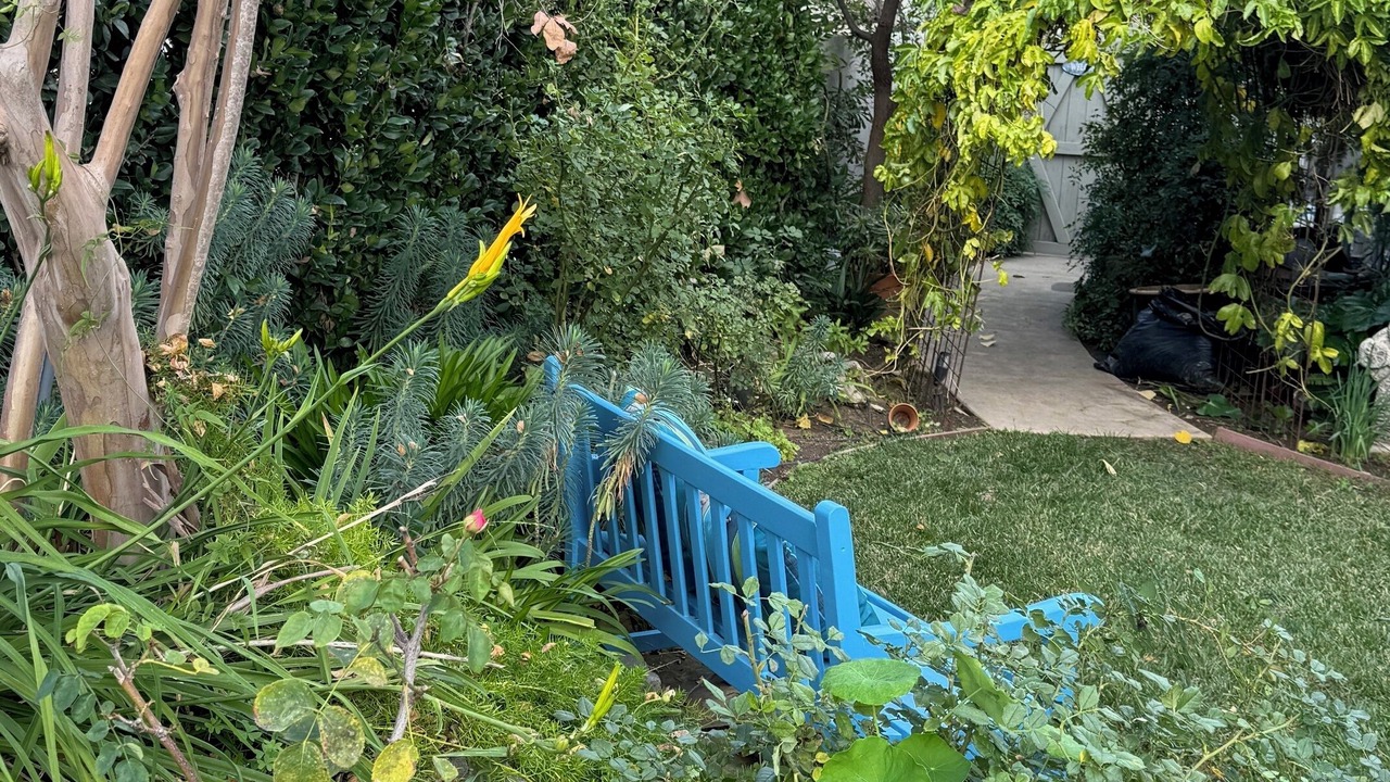 Photo of Outdoor in South Arroyo