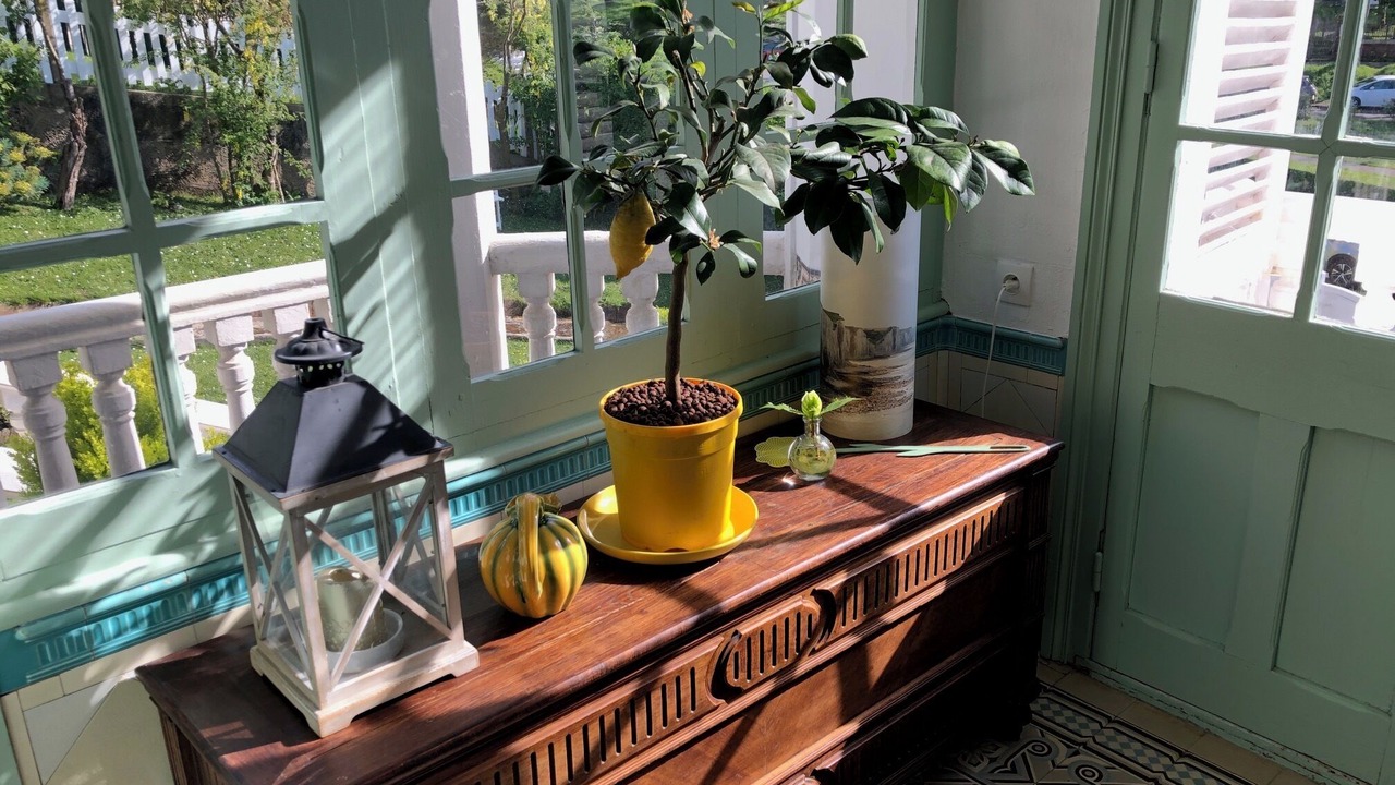 Photo of Others in Ault