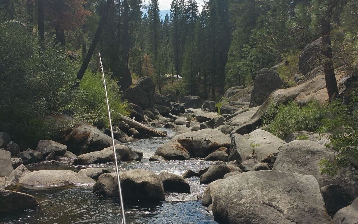 Photo of Outdoor in Strawberry
