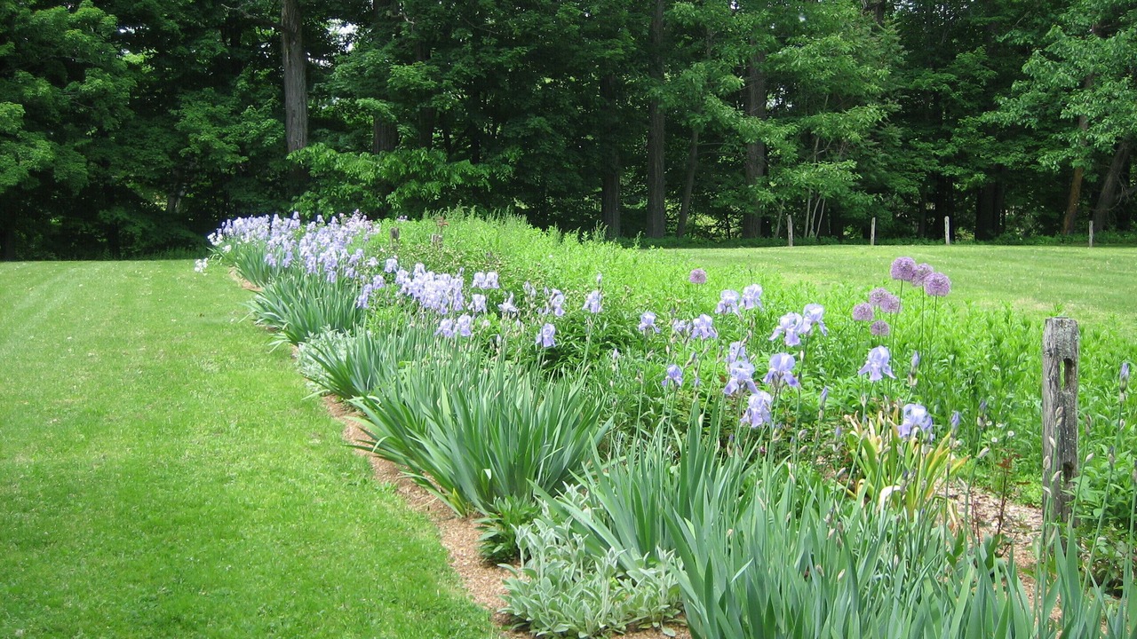 Photo of Others in Kerhonkson