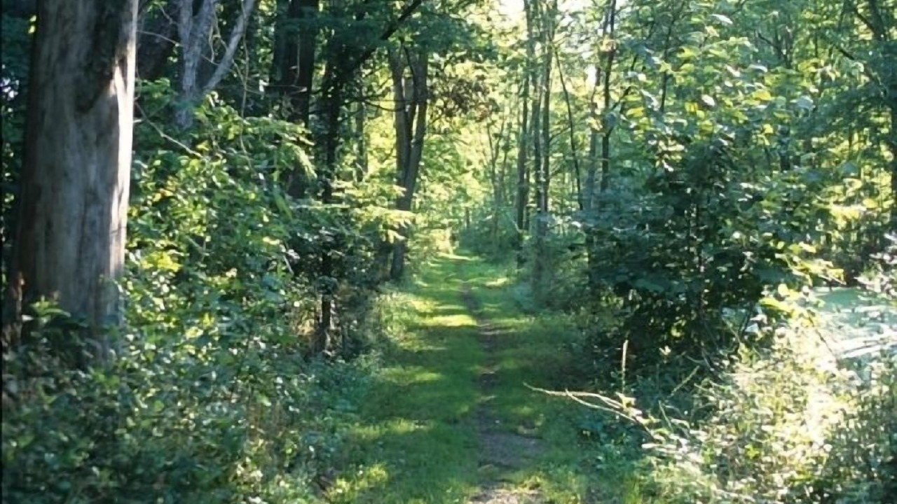 Photo of Others in Kerhonkson