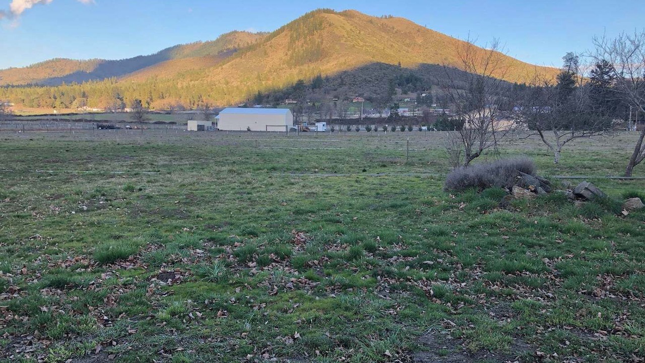 Photo of Others in Jacksonville