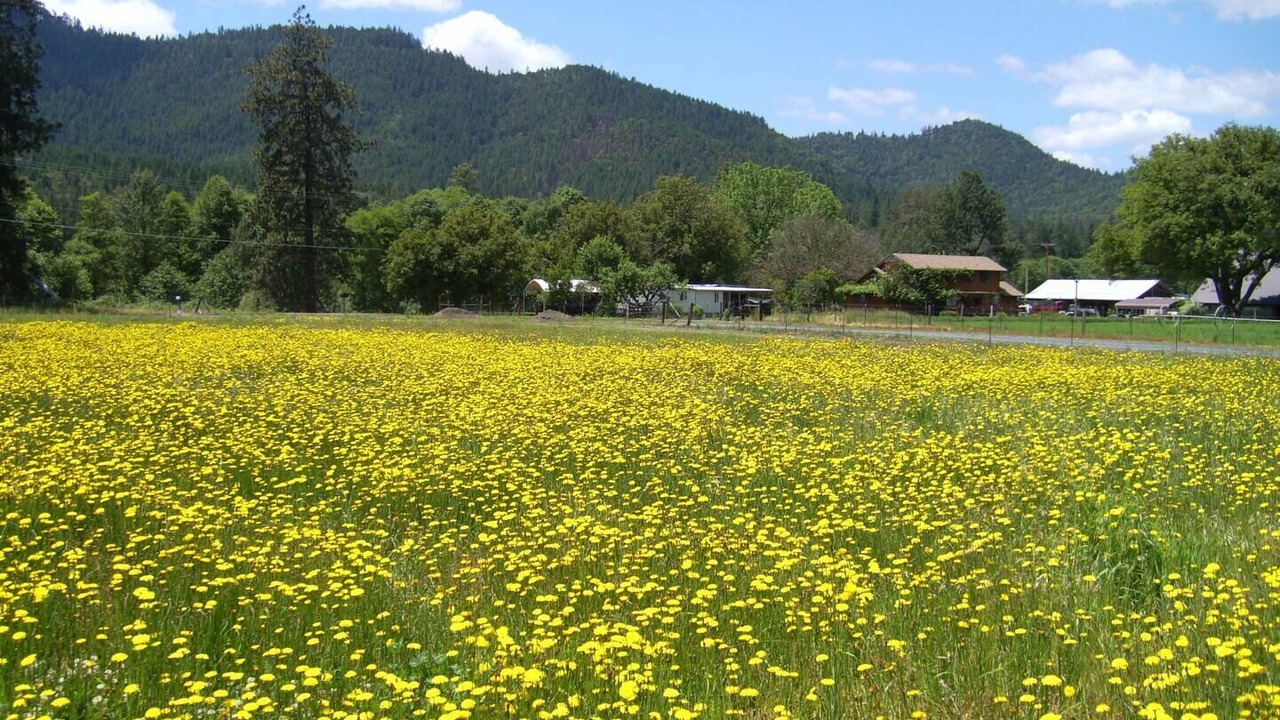 Photo of Others in Jacksonville