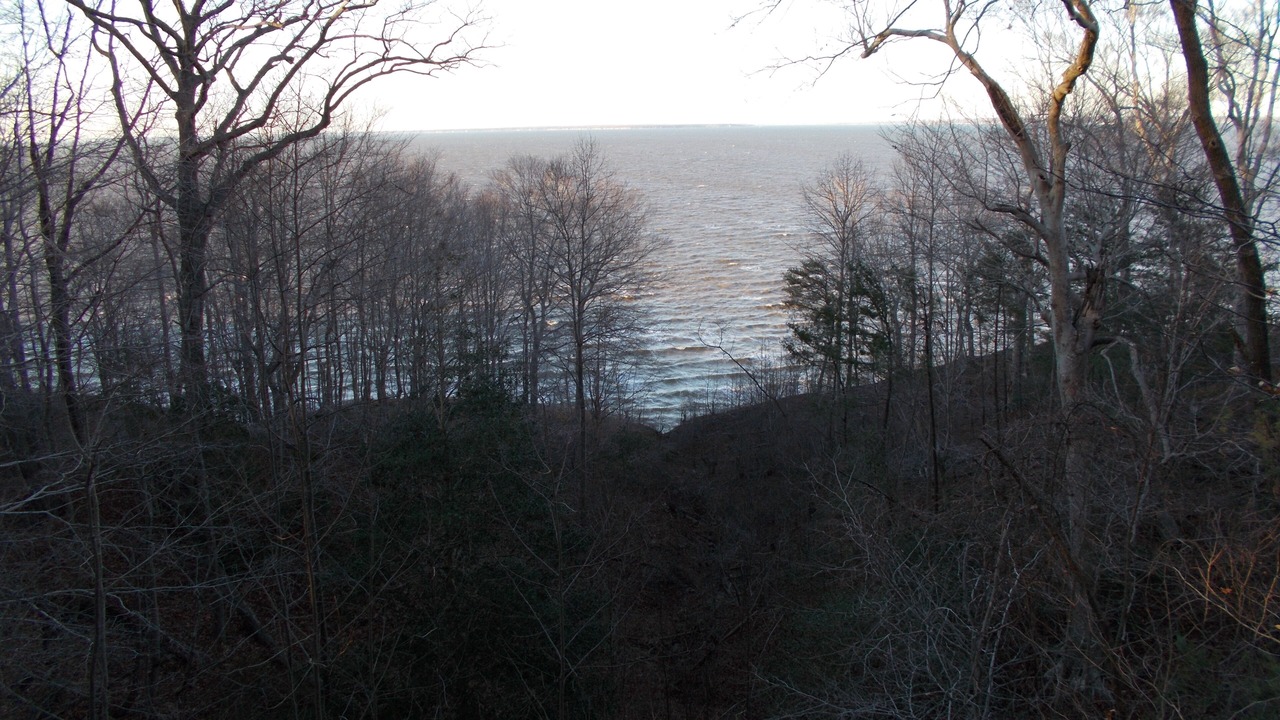 Photo of Outdoor in Montross