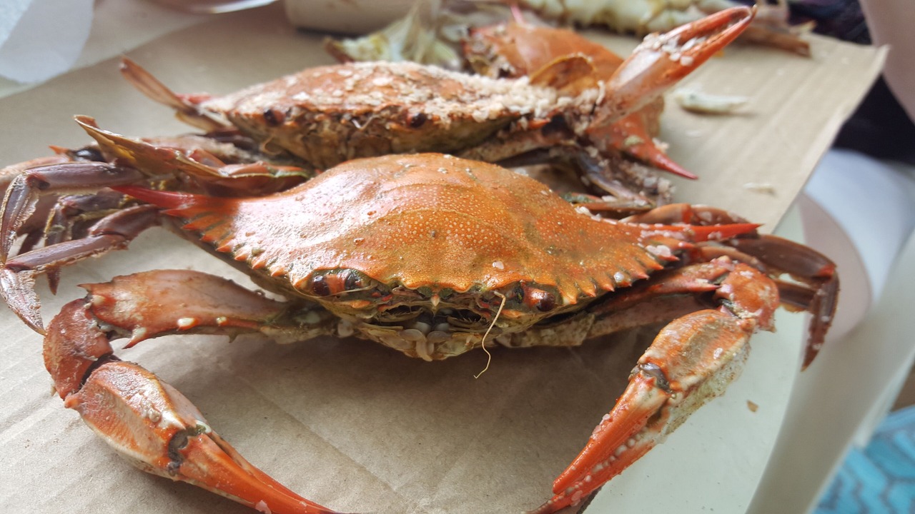 Photo of Others in Montross