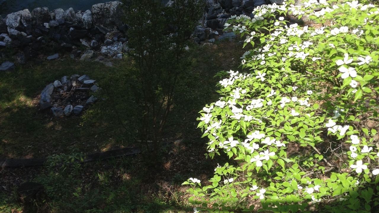 Photo of Outdoor in Huddleston
