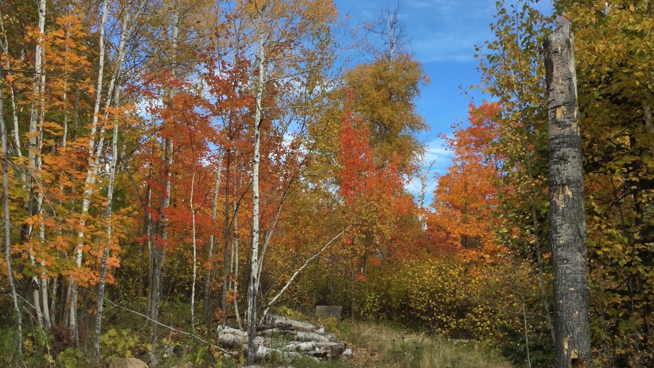 Photo of Outdoor in Lutsen