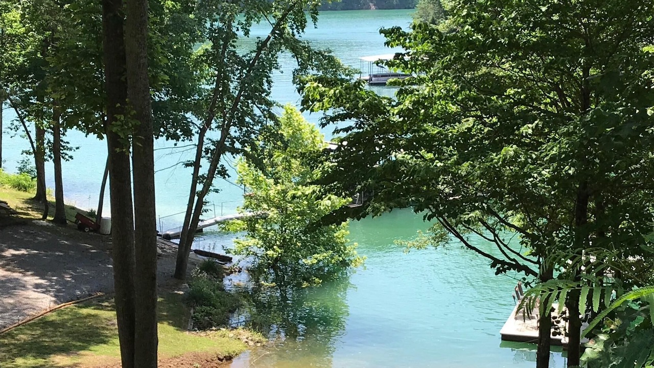 Photo of Others in Big Creek