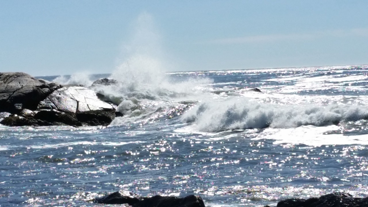 Photo of Others in Brooklyn