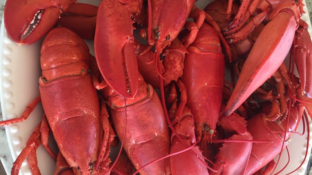 Photo of Others in Brooklyn