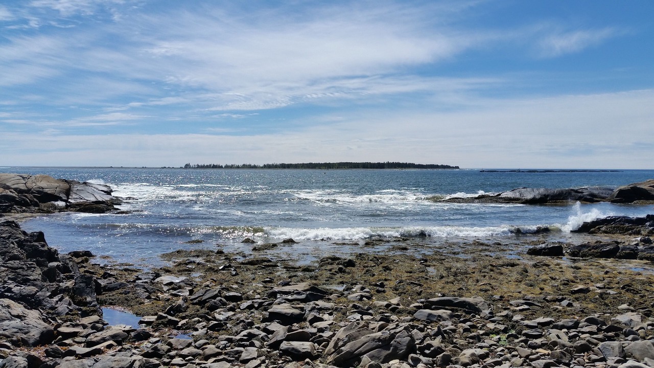 Photo of Others in Brooklyn