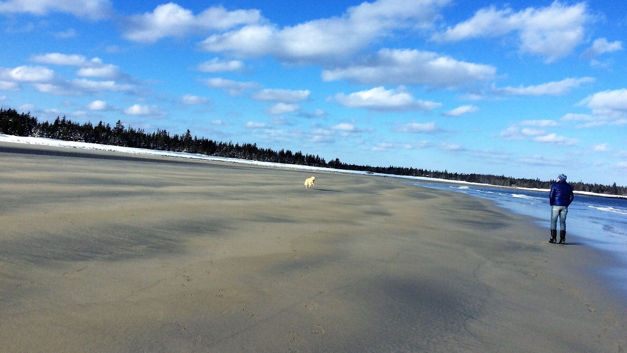 Photo of Others in Brooklyn