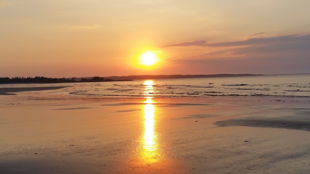 Photo of Others in Brooklyn