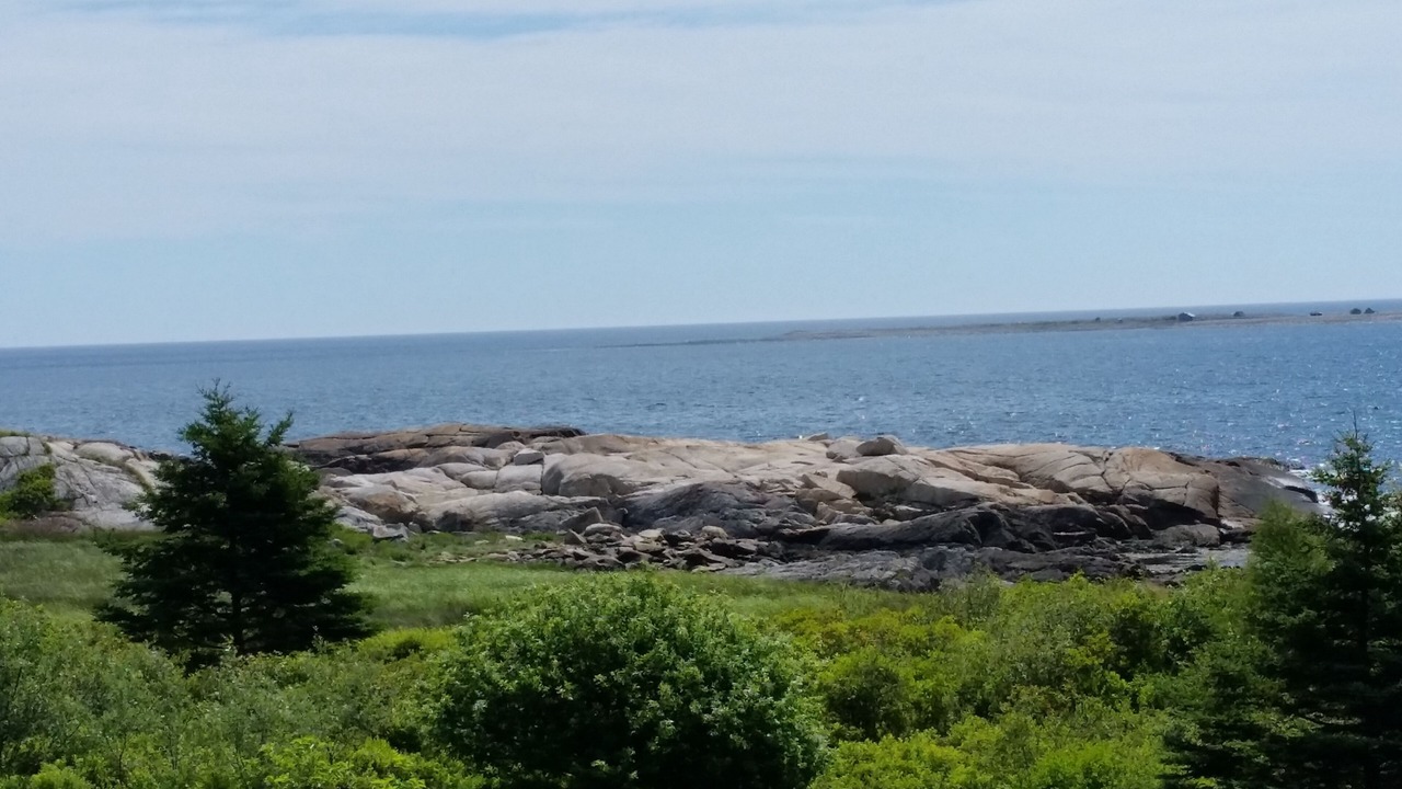 Photo of Others in Brooklyn