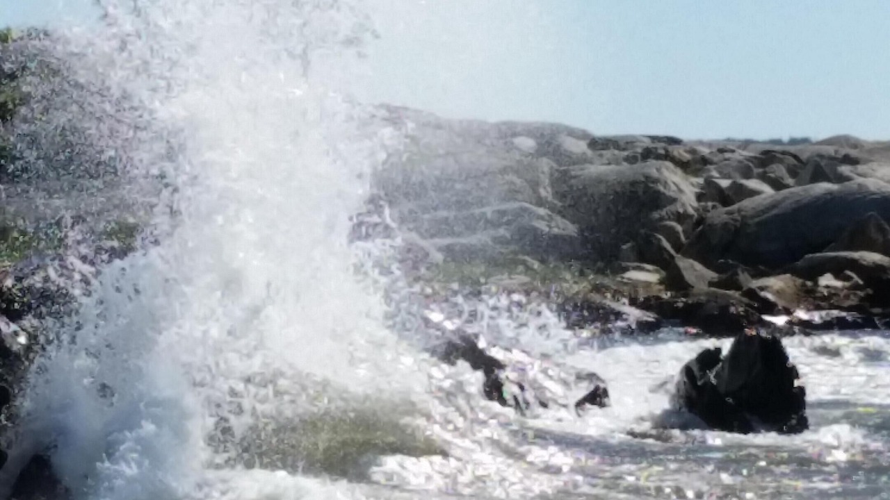 Photo of Others in Brooklyn