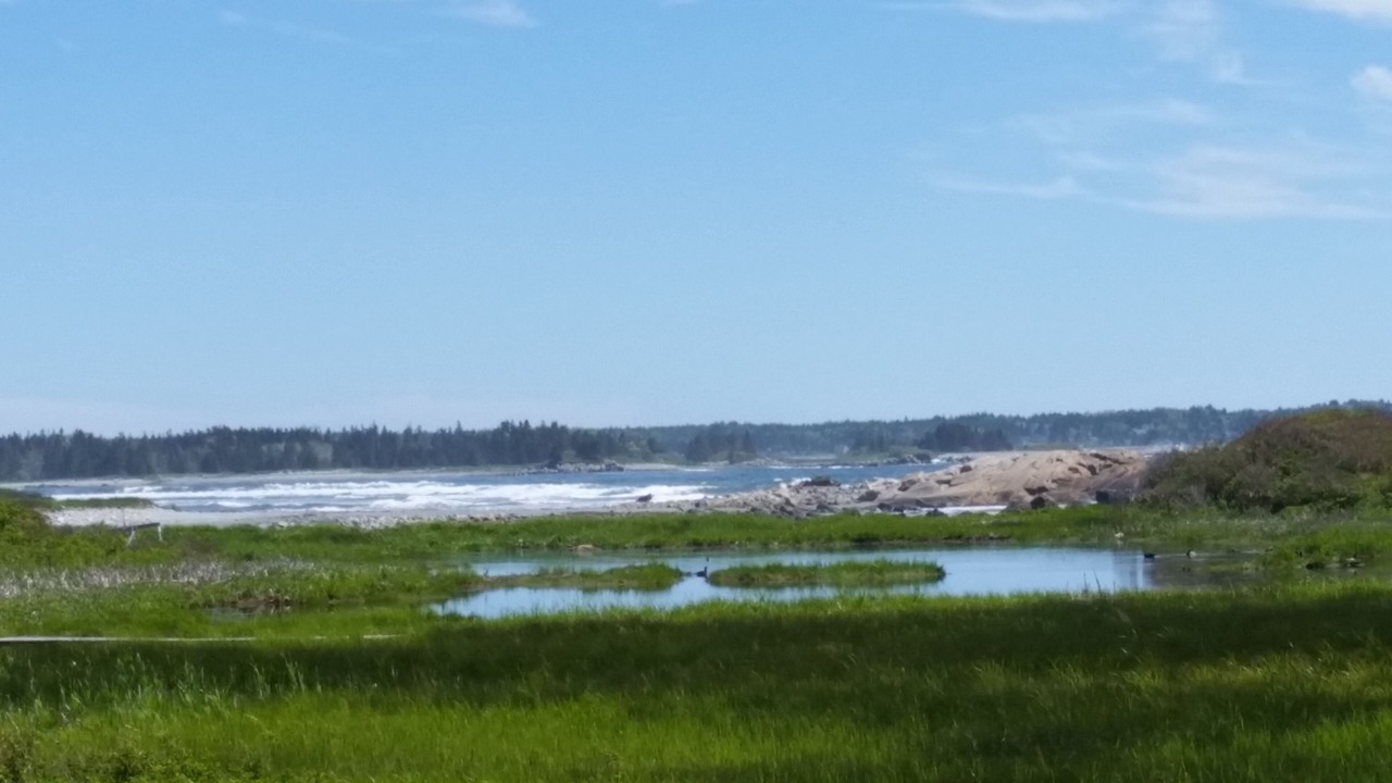 Photo of Others in Brooklyn