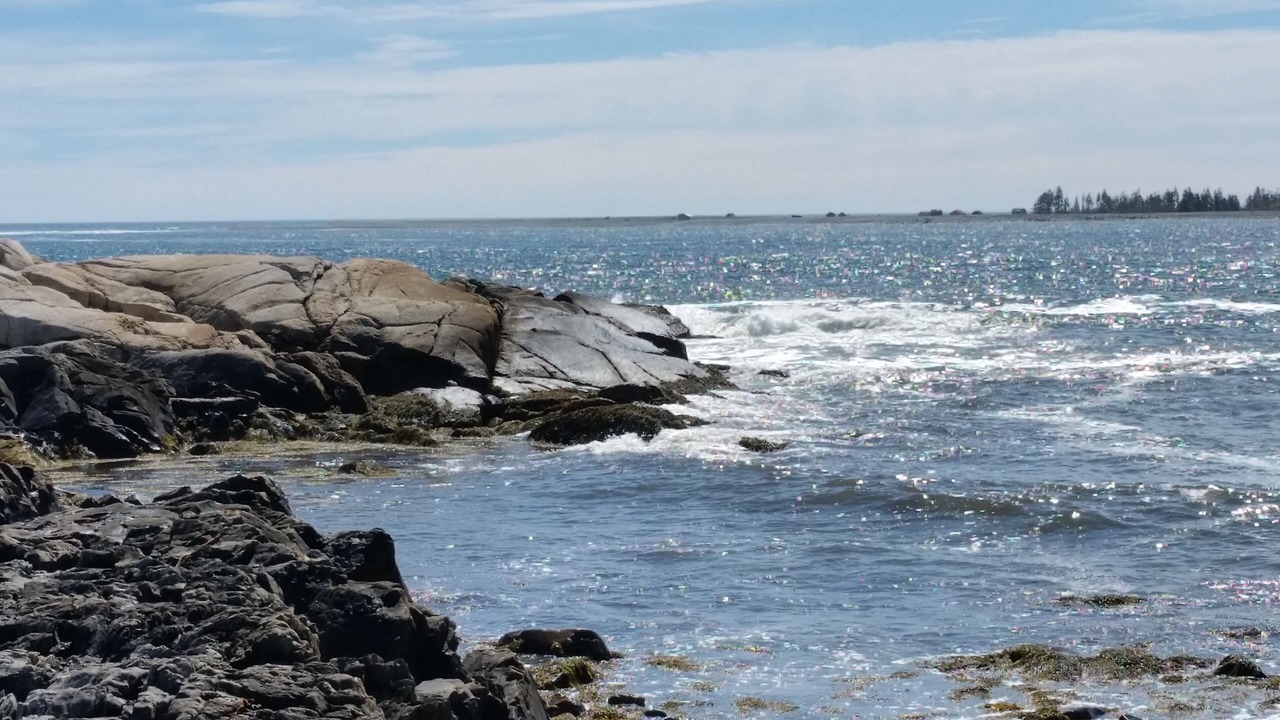 Photo of Others in Brooklyn