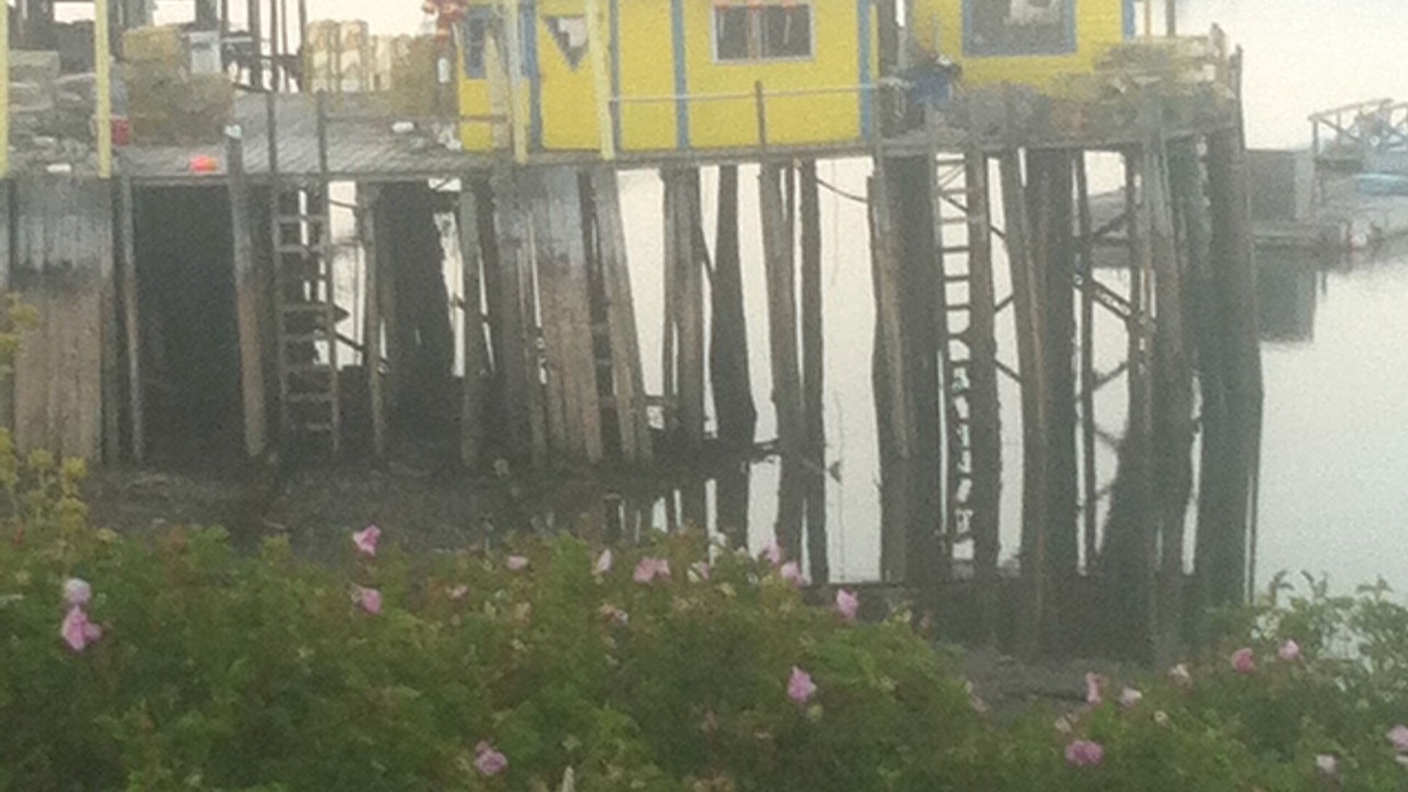 Photo of Others in Swans Island