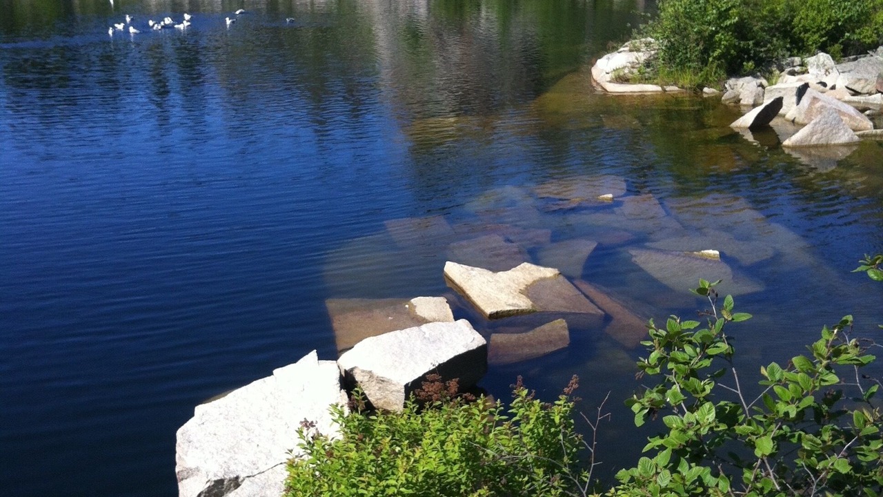 Photo of Others in Swans Island