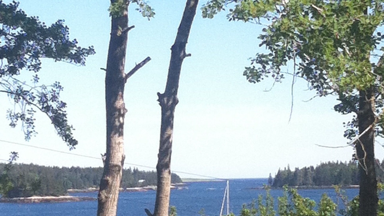 Photo of Others in Swans Island